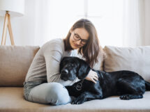 Teenage girl sitting on a sofa indoors, playing with a pet dog.